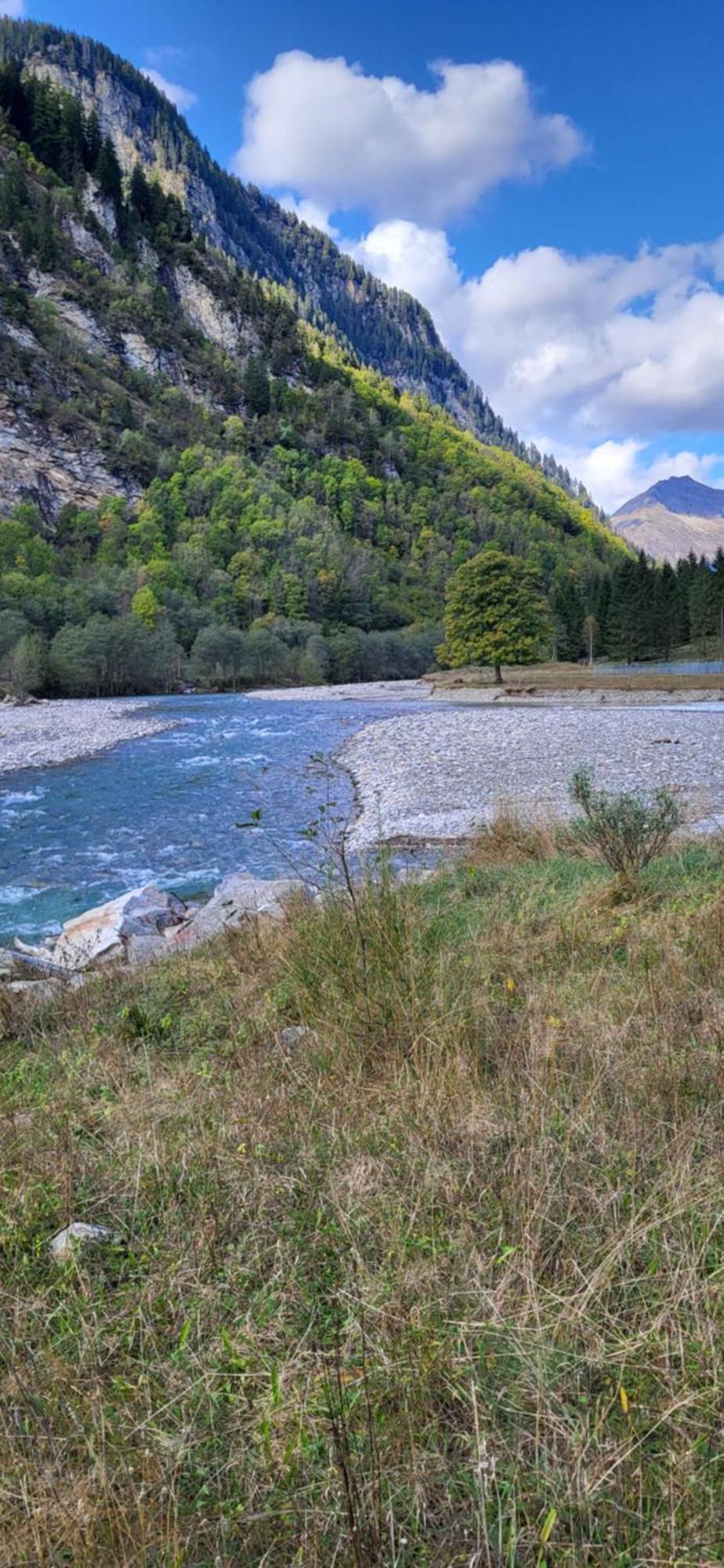 Casa Oliver, Tra La Calanca E I Castelli Di Bellinzona Grono Eksteriør bilde
